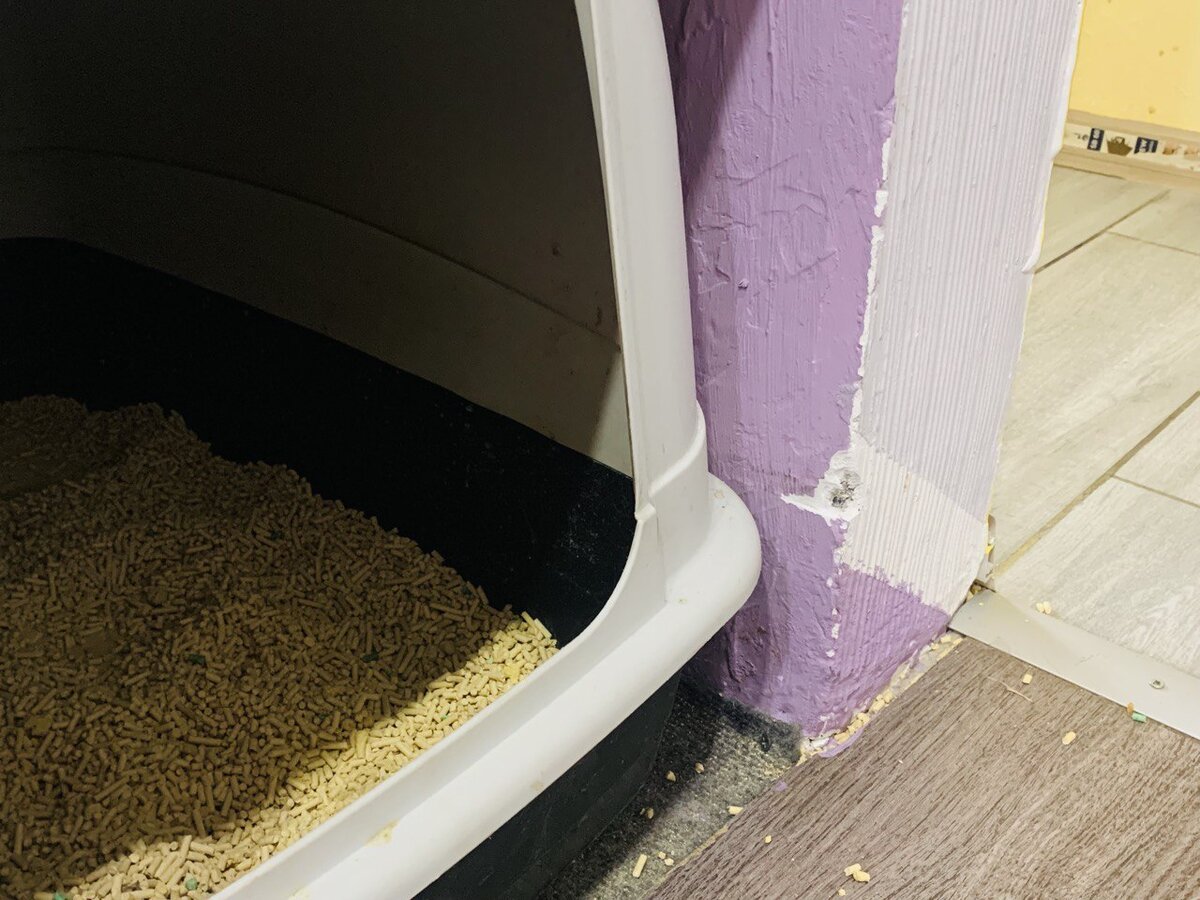 закрытый лоток для кошек в нише в стене