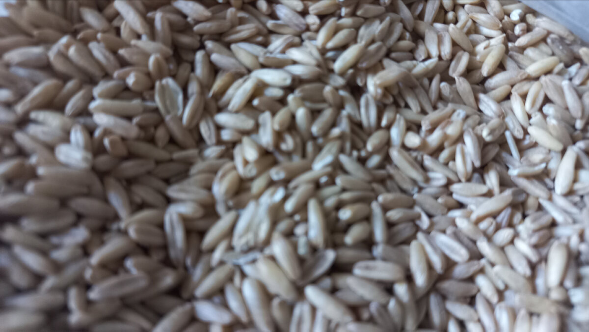 Крупа овсянная