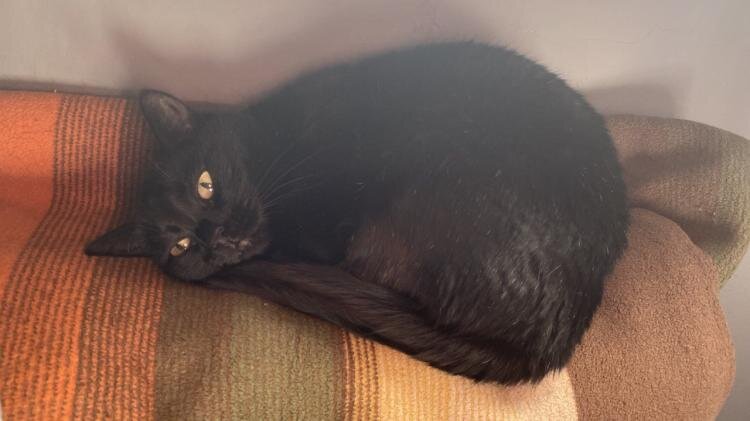 Фото: ИА «Тюменская линия»