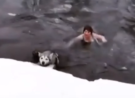 Галина Восковых спасла собаку породы хаски