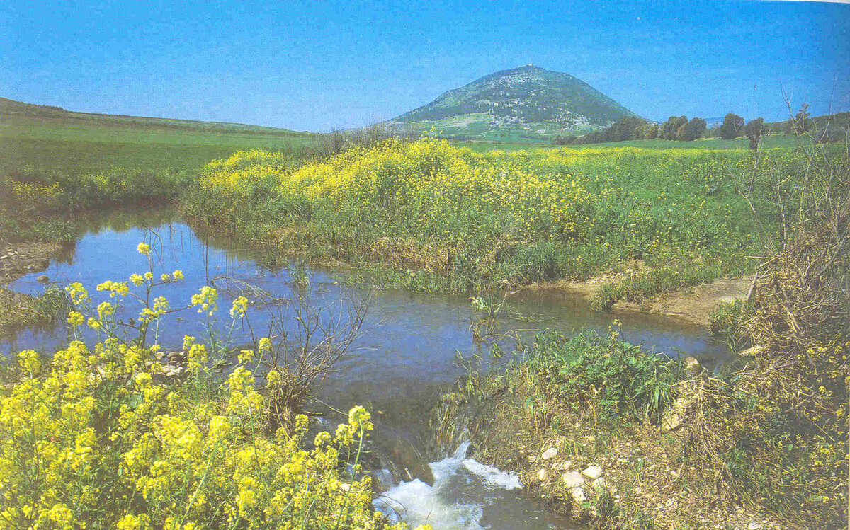 Гора Фавор