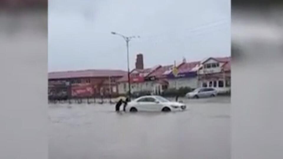 Фото: © Скриншот видео