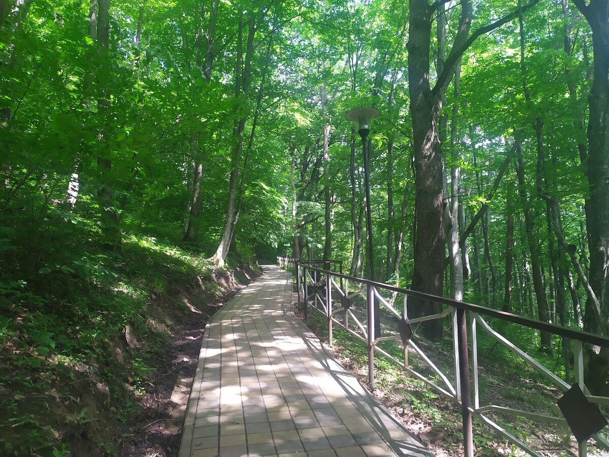 Дорога к Святому источнику мученика Пантелеймона