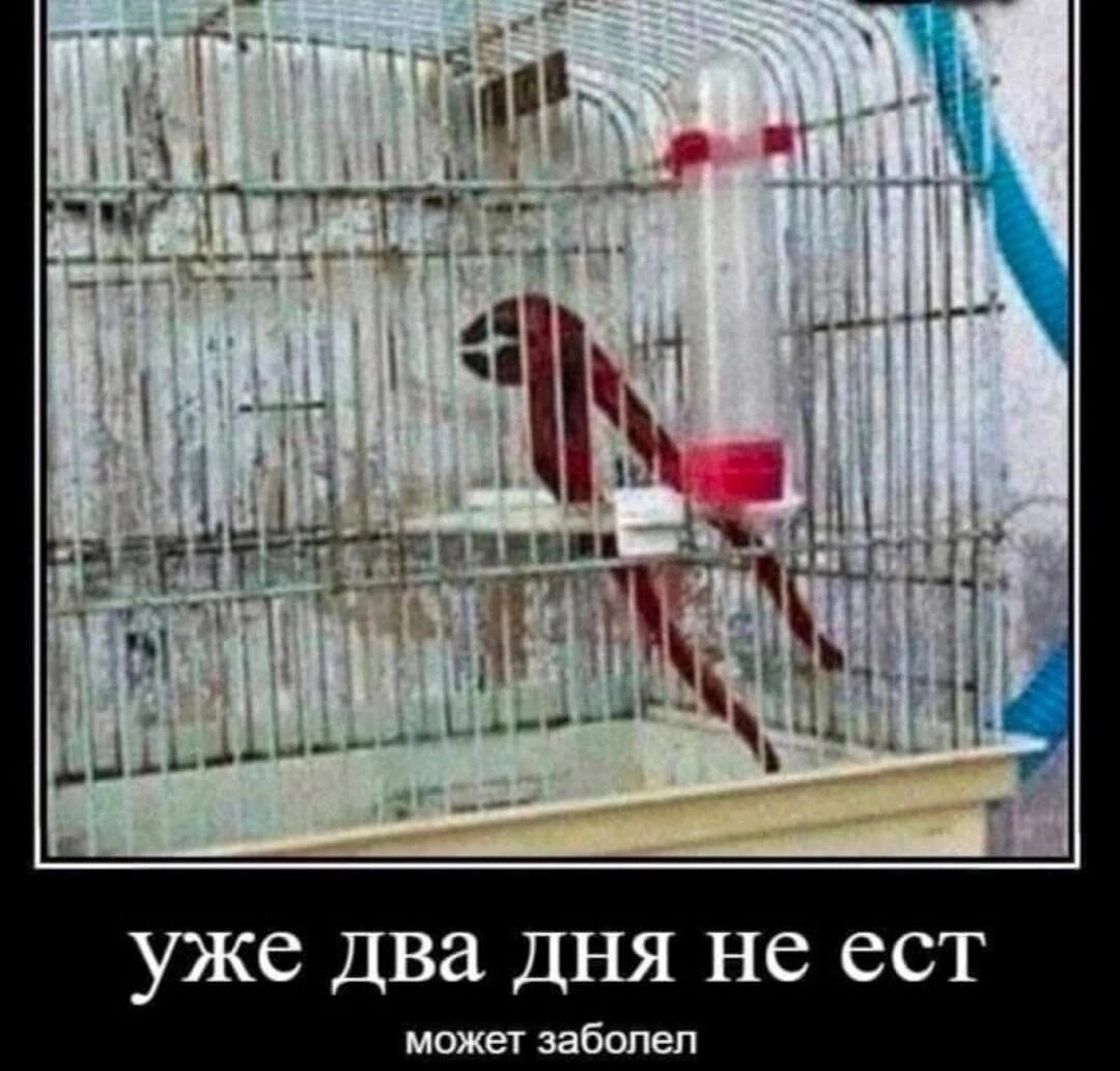 :)