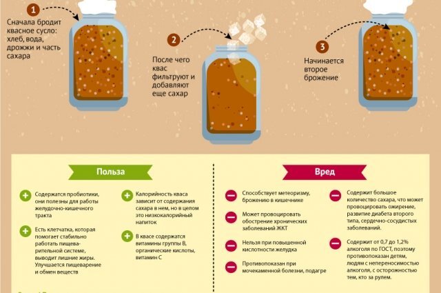    8 основных видов кваса. Инфографика