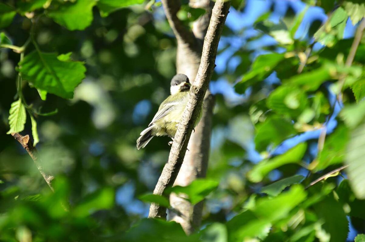    А ты кто такой? stalker