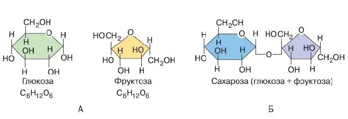 Выберите структурное изображение углеводов