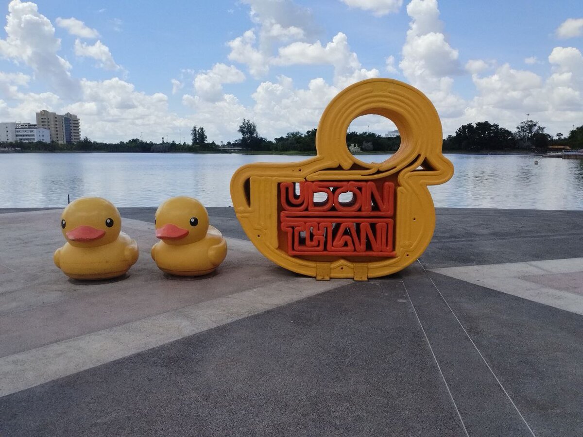 А встретили меня в парке уточки!