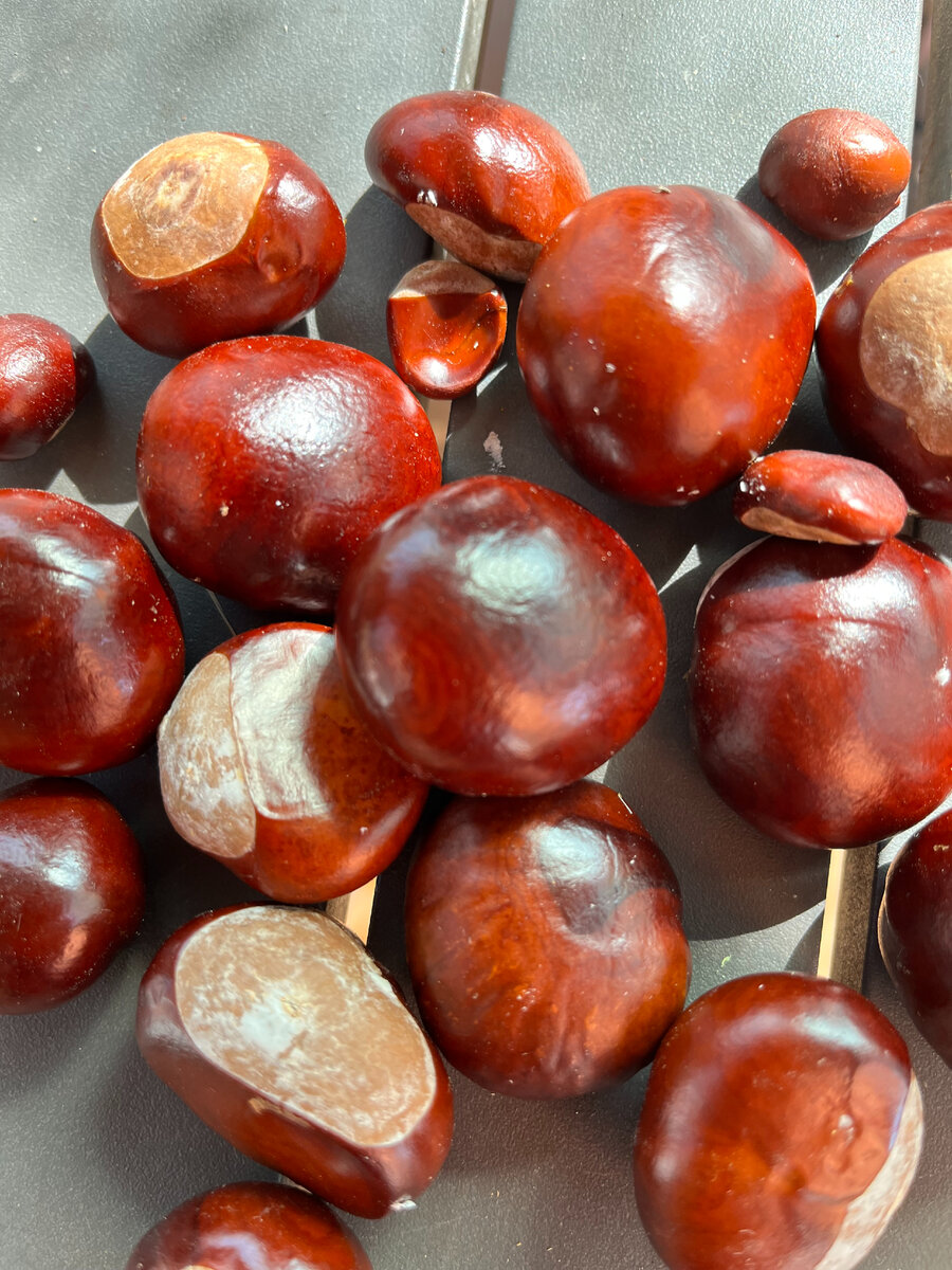 Фото из моего личного архива