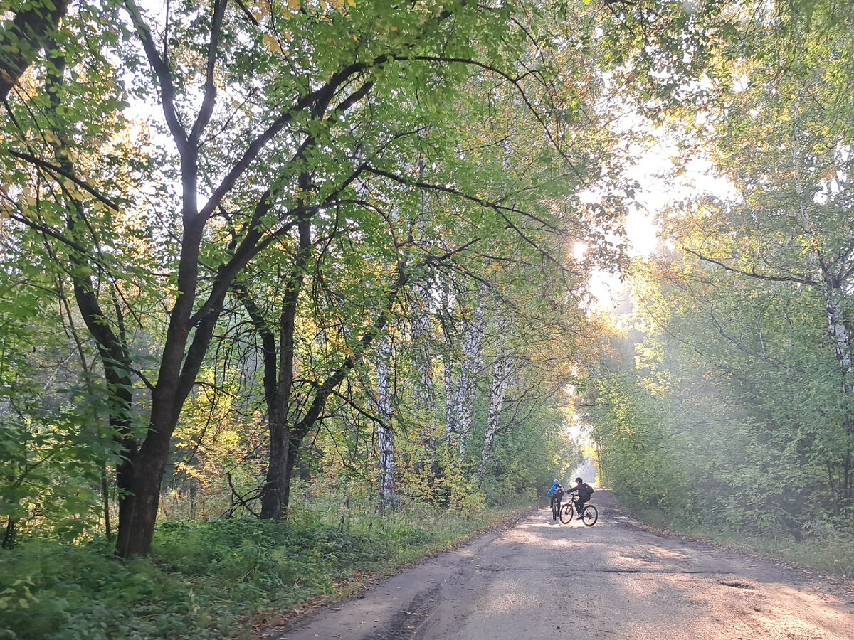 Мальчишки с удочками на велосипедах