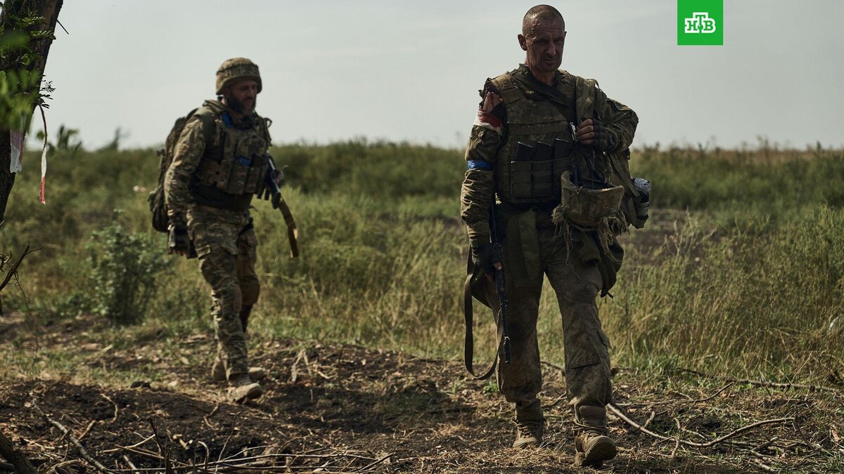    Фото: Associated Press © 2023, Libkos