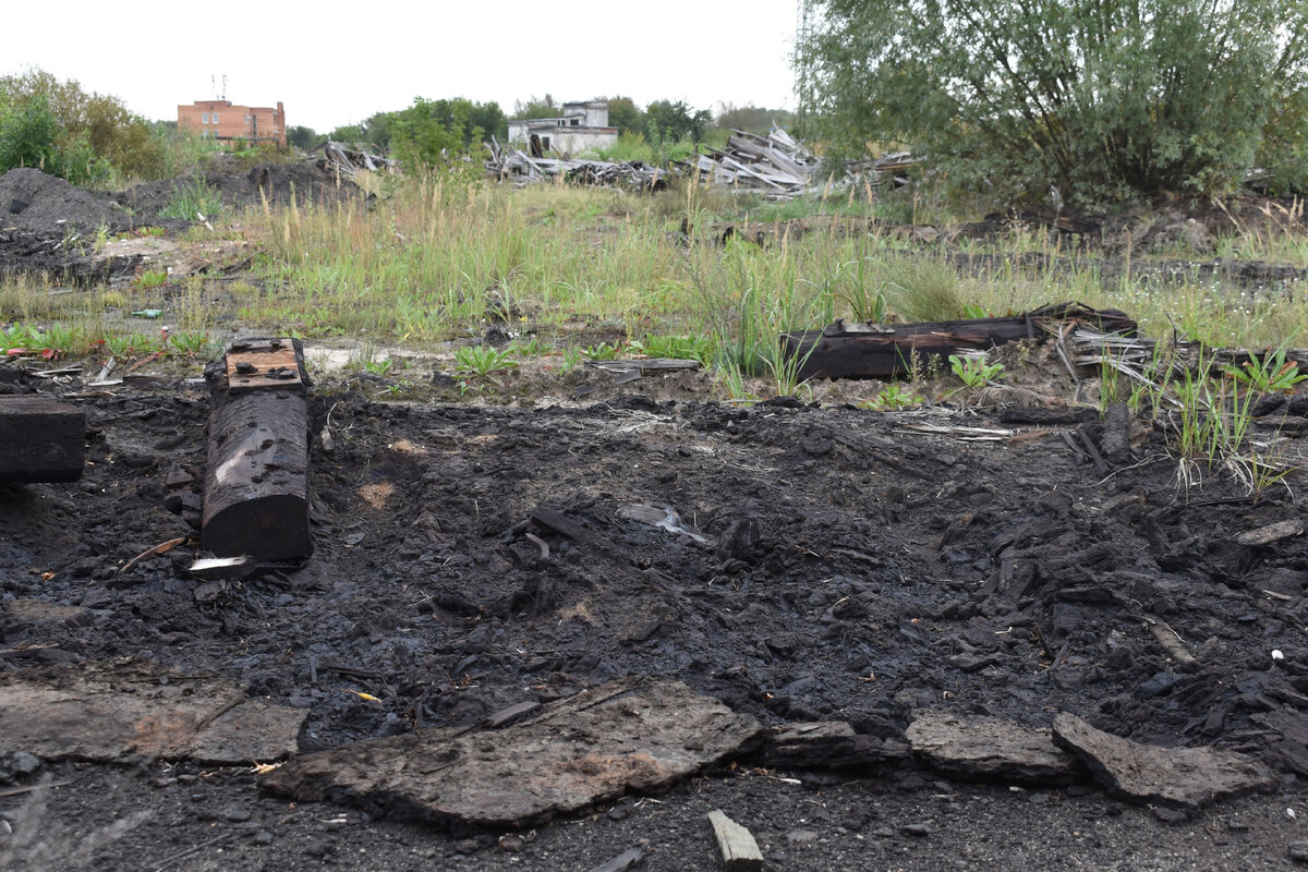 Наросшая трава создает лишь видимость нормы, под ней метры пропитанной канцерогеном, так и не утилизированной почвы