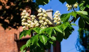    Фото: freepik.com/olhasolodenko Анна Полякова