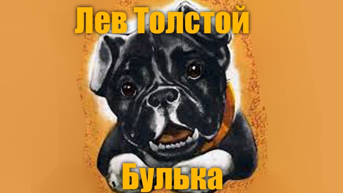 Толстого "булька". Лев николаевич толстой булька. Толстой л. Толстой л. Л н толстой булька иллюстрации.