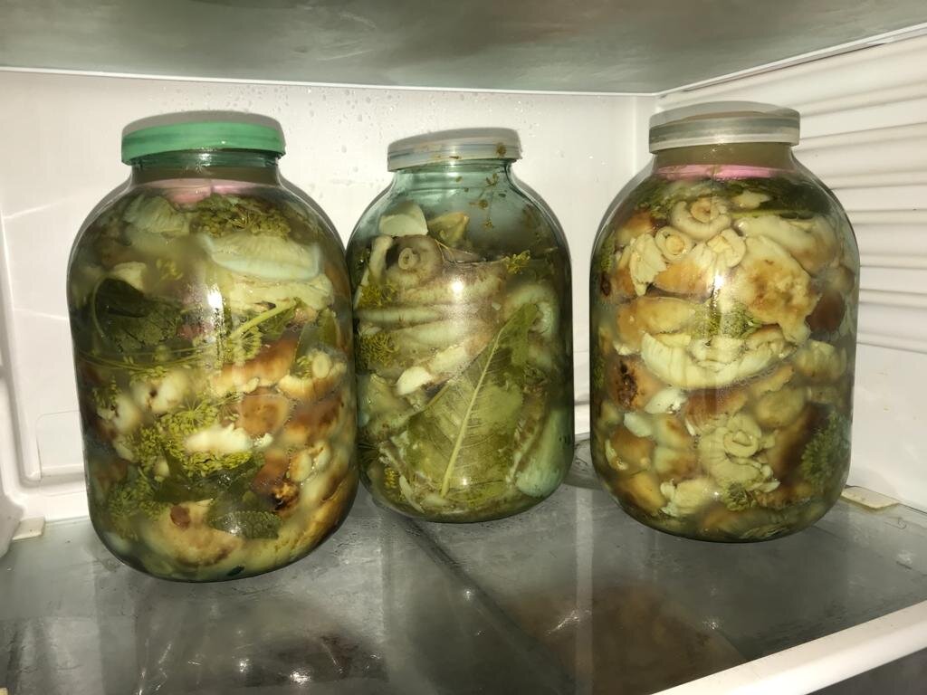 Ну красавцы же,хрустящие....