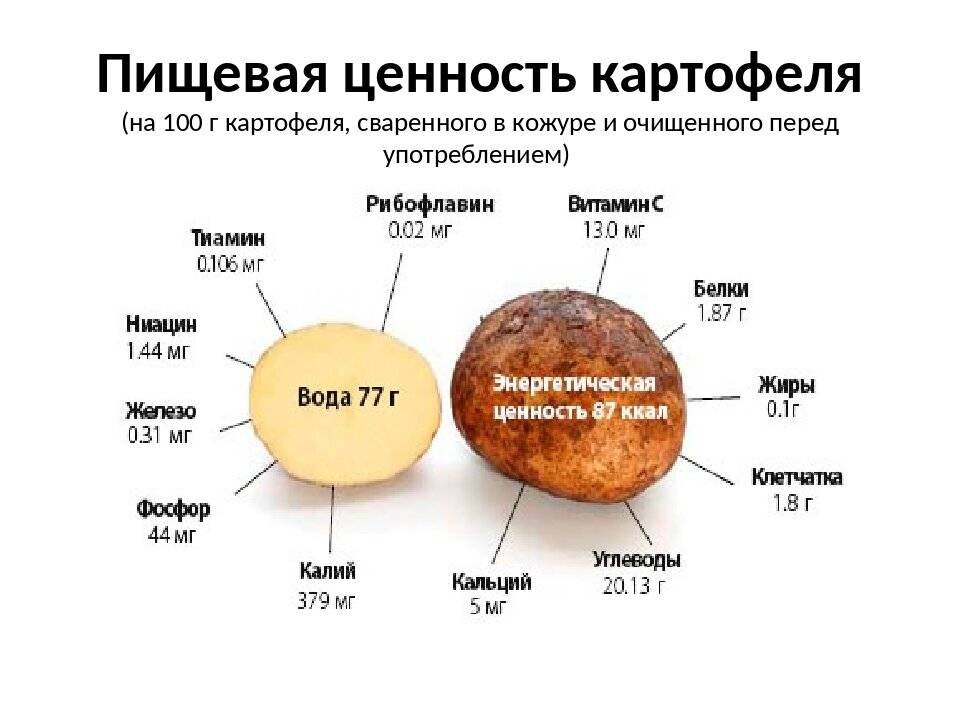 Какой химический картофеля. Пищевая ценность картофеля на 100 грамм. Картофель пищевая ценность в 100. Энергетическая ценность 100 г картофеля. Картофель пищевая ценность в 100г.