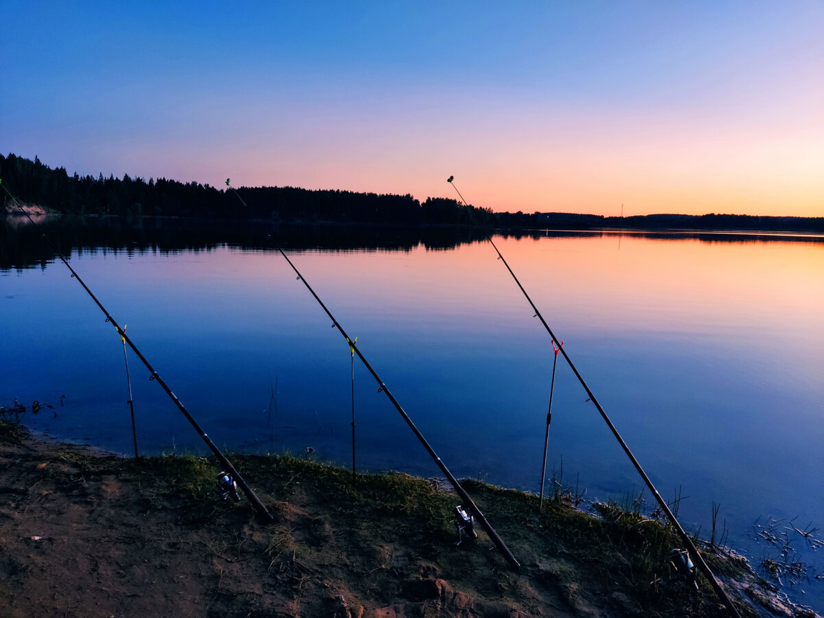 Фидер от донки отличается лишь своей философией.