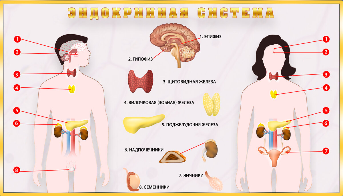 фото источник bb.edu.gov.kg