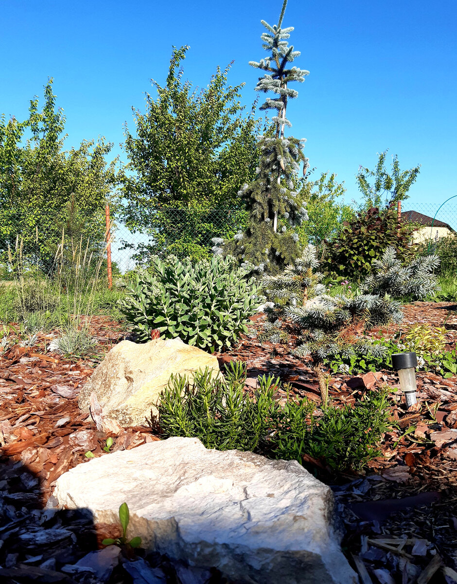 Сслерия в левом углу, листайте галерею