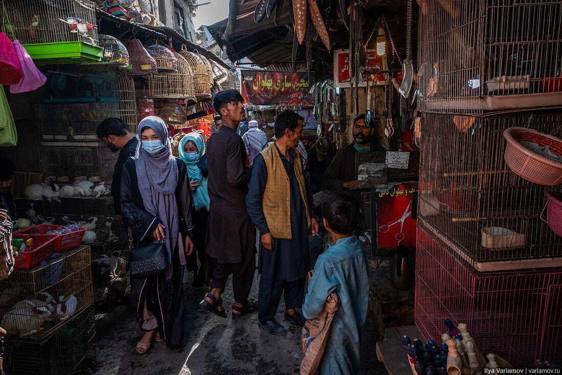Я жил в трущобах слушать. Трущобы Афганистана. Птичий рынок в Кабуле. Кабул трущобы. Рынок трущобы.