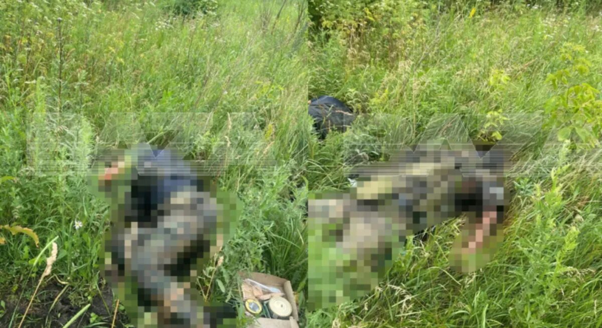 Фото: телеграм-канал Baza