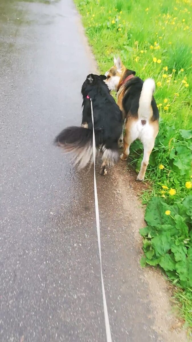 Дина и Славик на прогулке. 