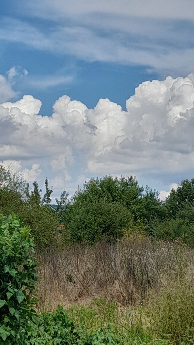 После грозы. Фото И.Т.