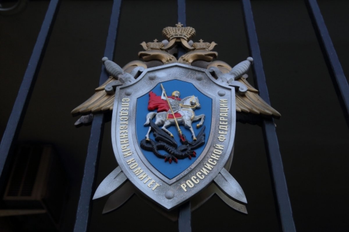    Бастрыкин взял под контроль ситуацию с массовым отравлением детей в Туапсе