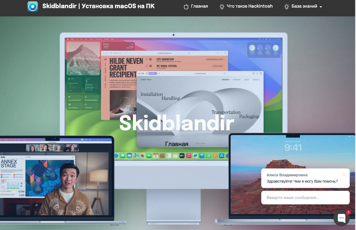 Снимок экрана сайта компании Скидбландир