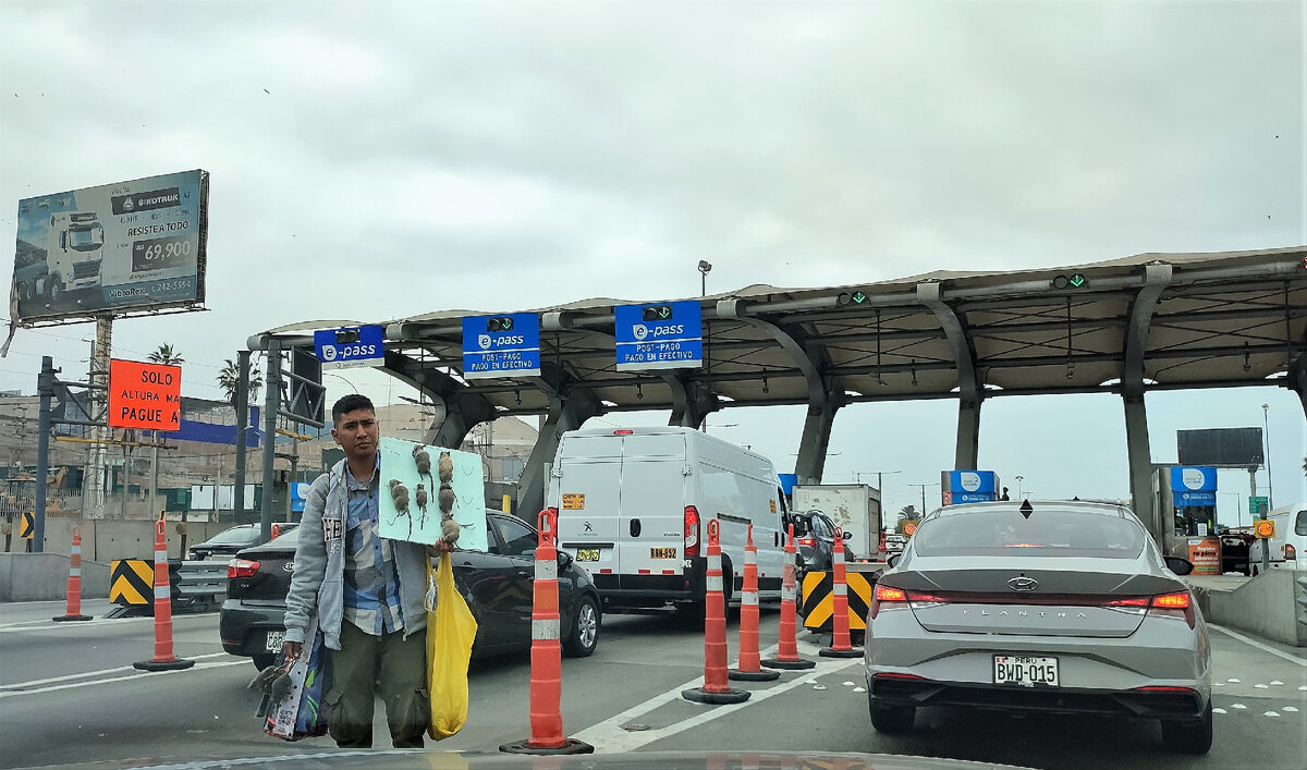 Игрушки - крысы, но очень реалестичные