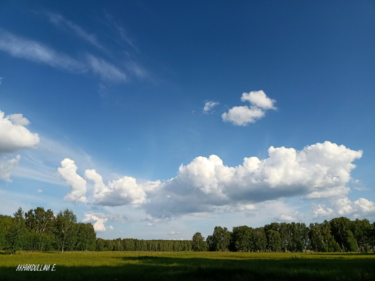 Ну вот как можно мимо проехать? 