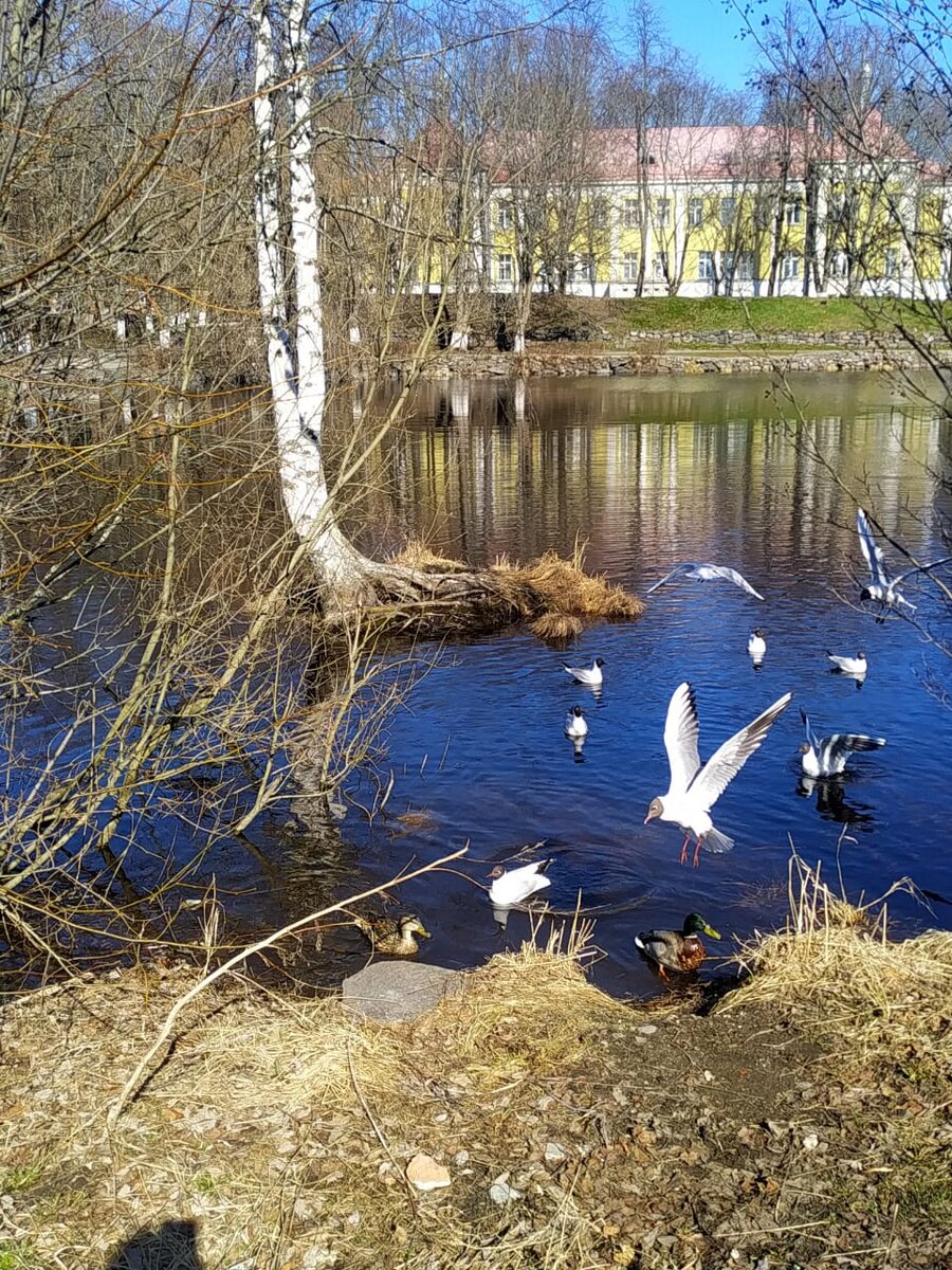 Возле крепости Корела