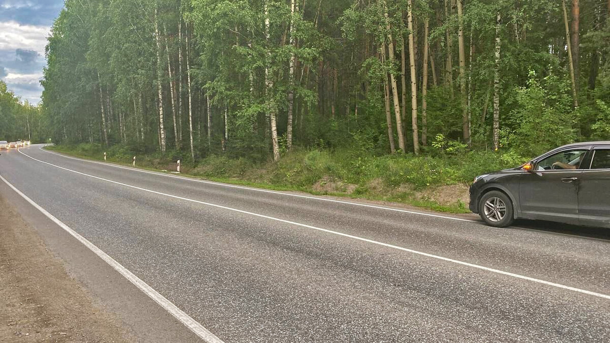     Как сообщили в ГСУ СК по краю и Хакасии, тело в 30 м от дороги обнаружил волонтер