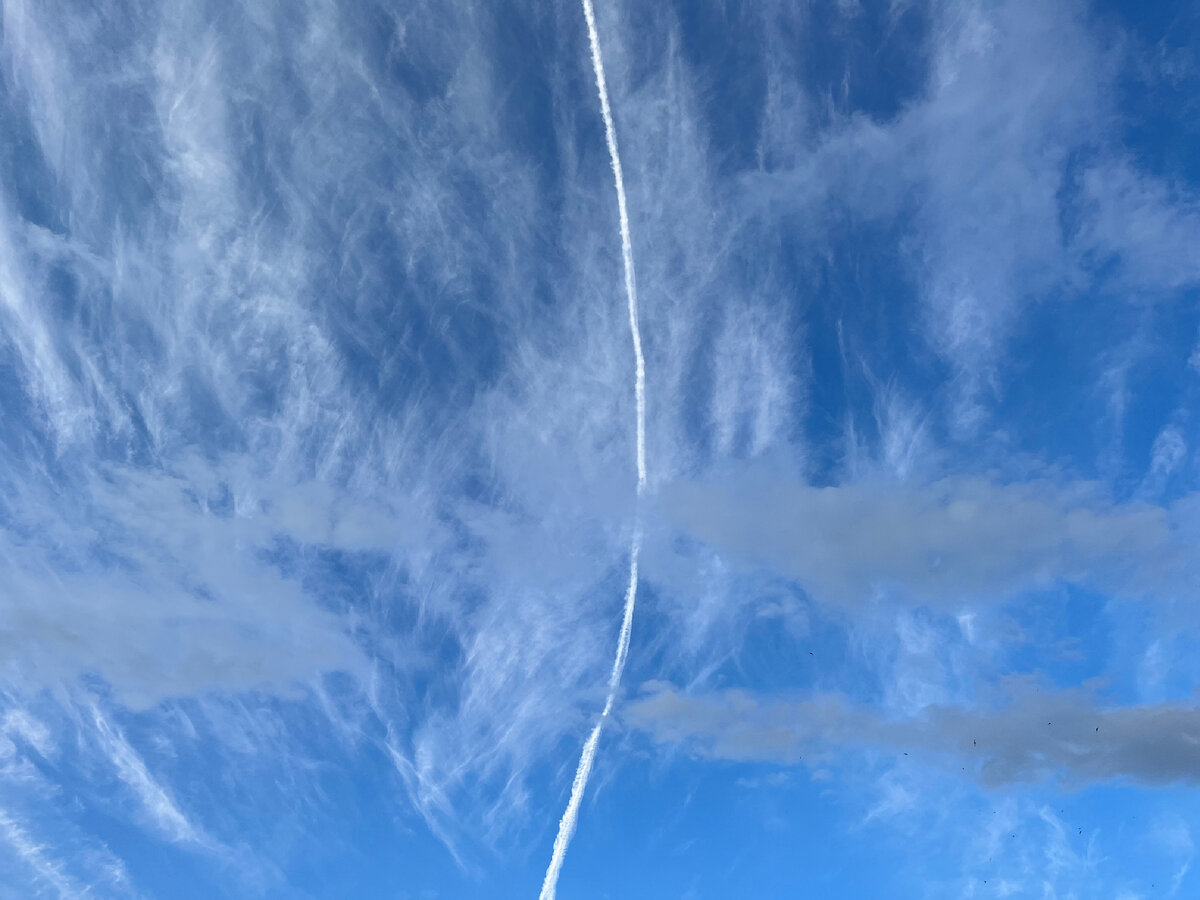 Личное фото автора