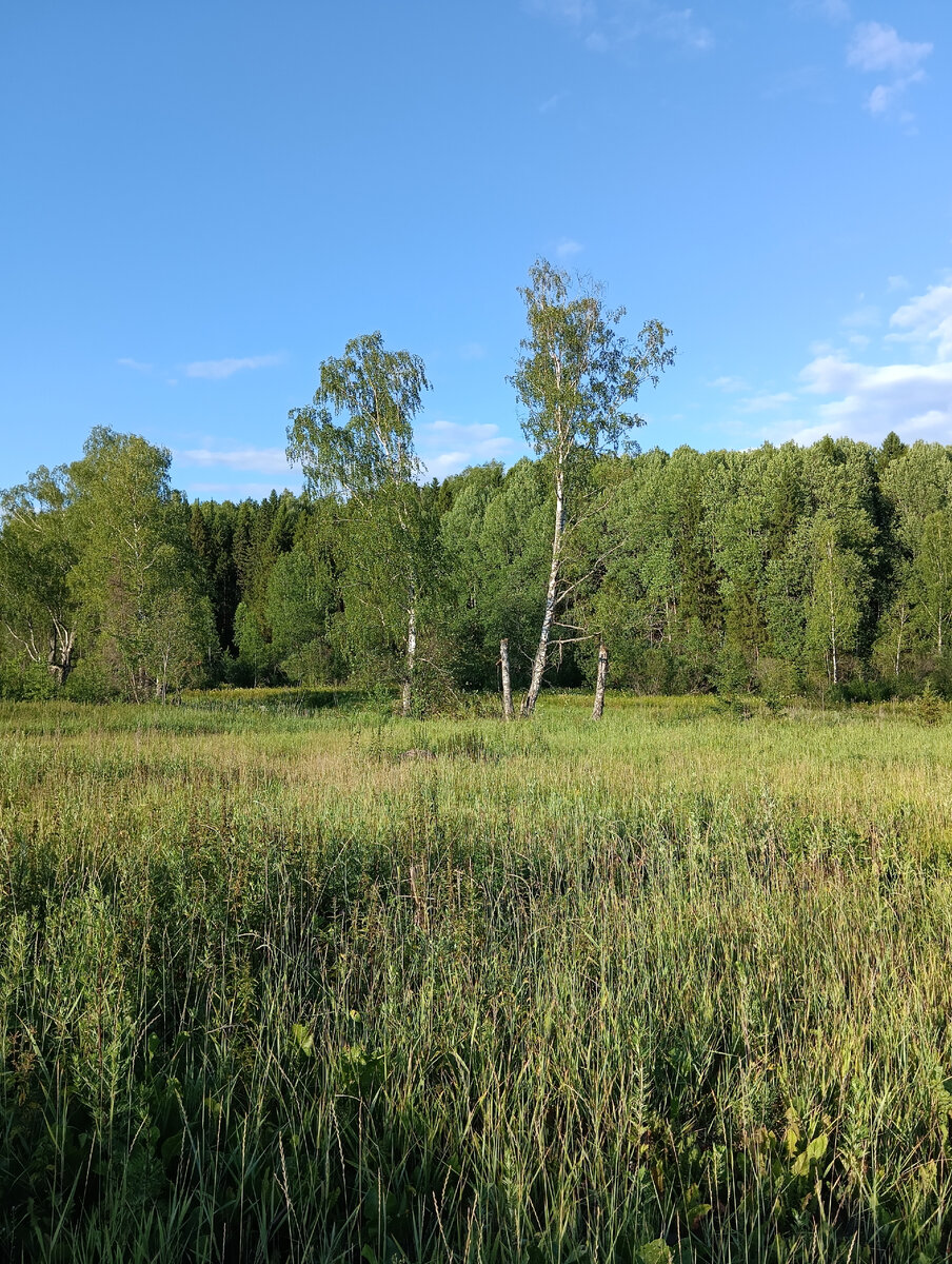 Это вид с веранды