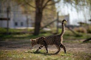    фото: freepik.com/wirestock Мария Михайловская