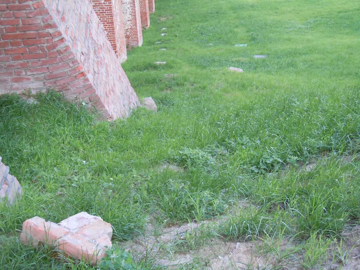 Продолжим экскурсию по кремлю. Это взгляд через стройку фуникулёра на участок с Часовой башней.-27