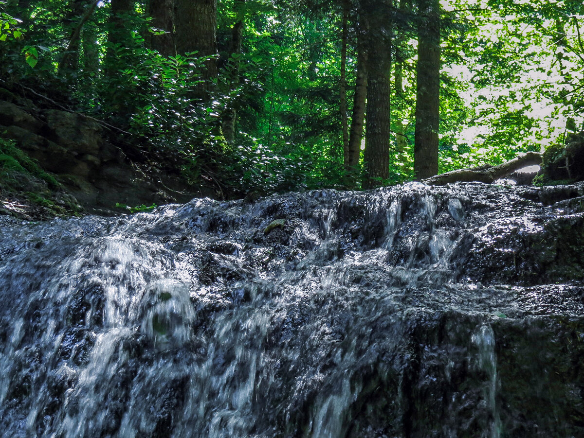 Здесь и далее в статье фото автора, 29.07.23 г.