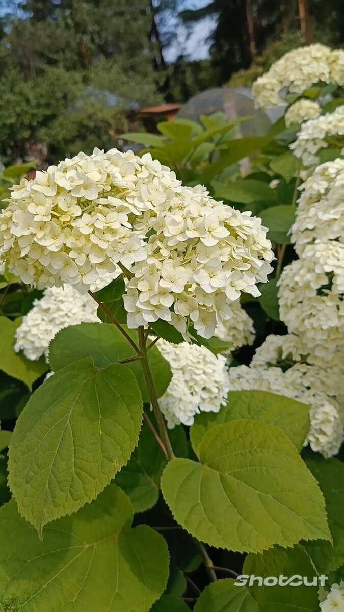 Фото автора статьи. 