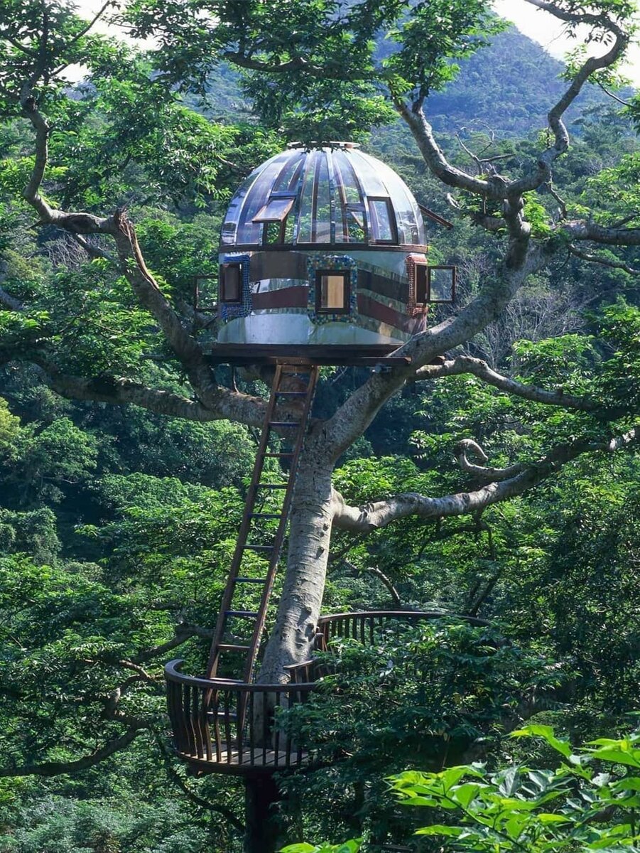 Отели и дома на деревьях: уникальный опыт проживания на высоте | Дома на  Деревьях | Строительство | Дзен