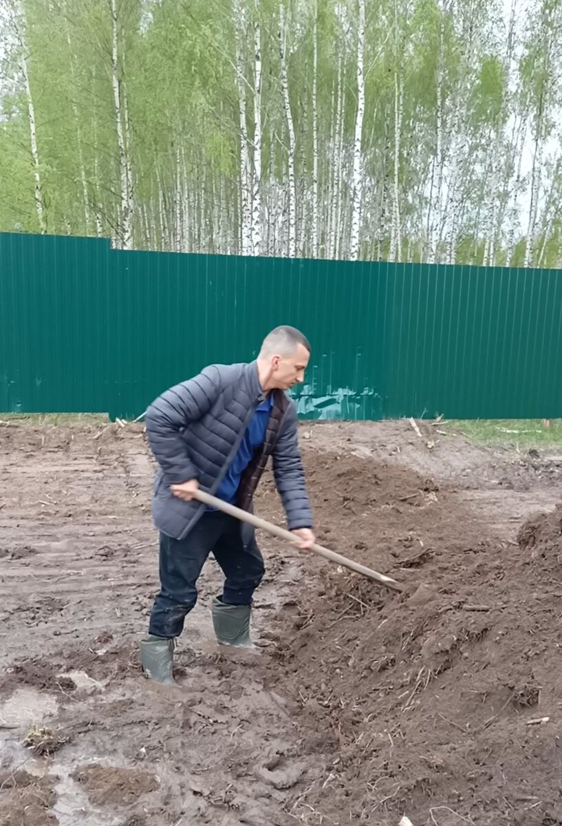 На заднем фоне видно вмятину от пенька