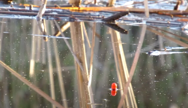 Окно - пространство, свободное от растительности и, обычно, защищенное от ветра стеной камыша.