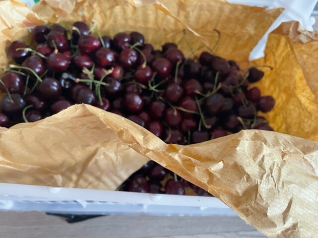 Черешня. SunTravel (с)