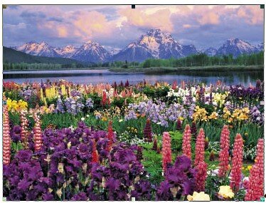 От твоей кровати до края мира всего два шага: Воля и Вера.                                             Оноре де Бальзак (1799–1850) Источник: On the Magic of Willpower
