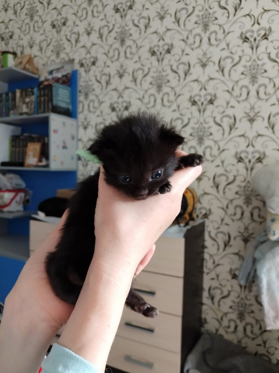 Мальчик Зелёная ленточка. Забронирован. 