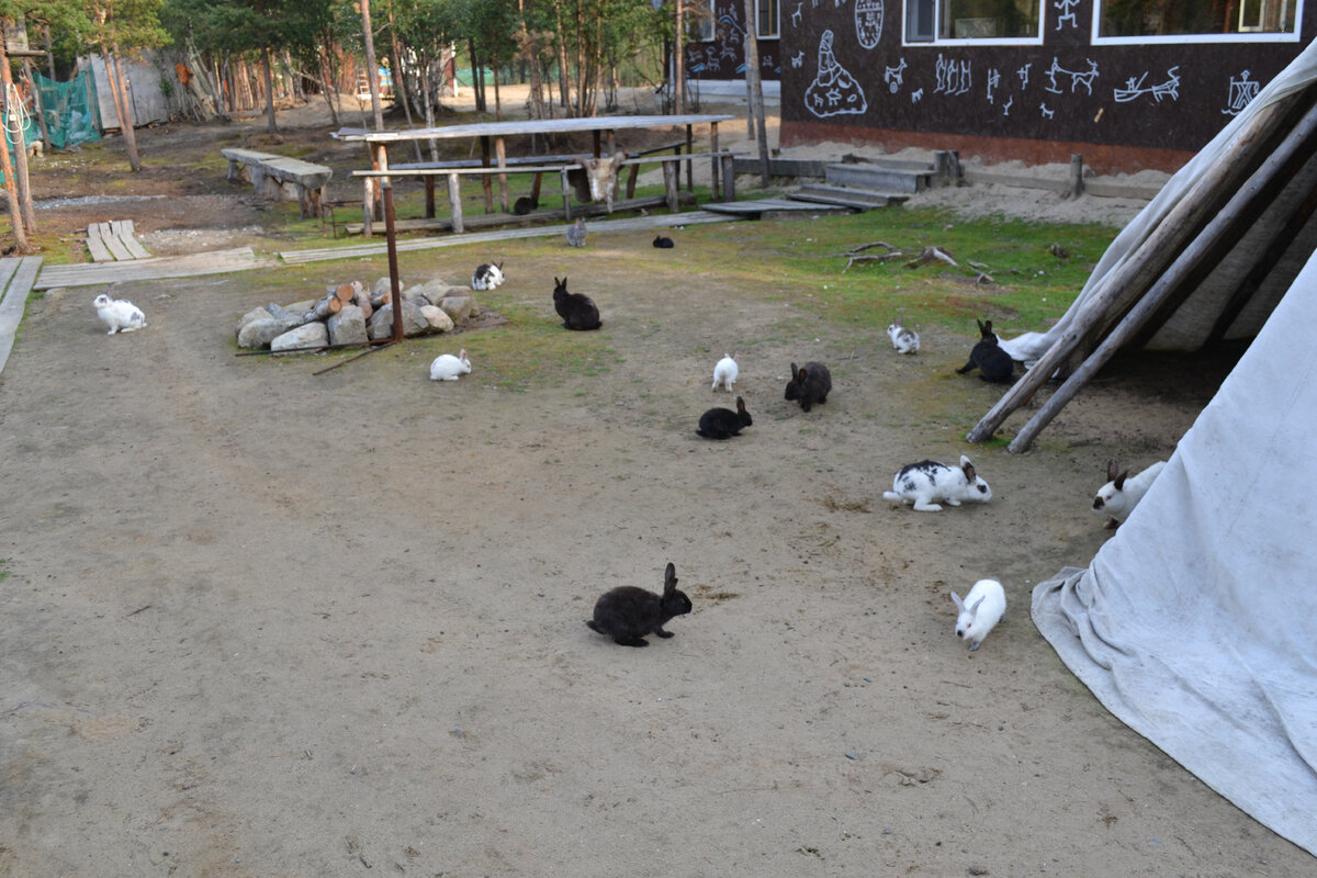 Все фото\видео мои