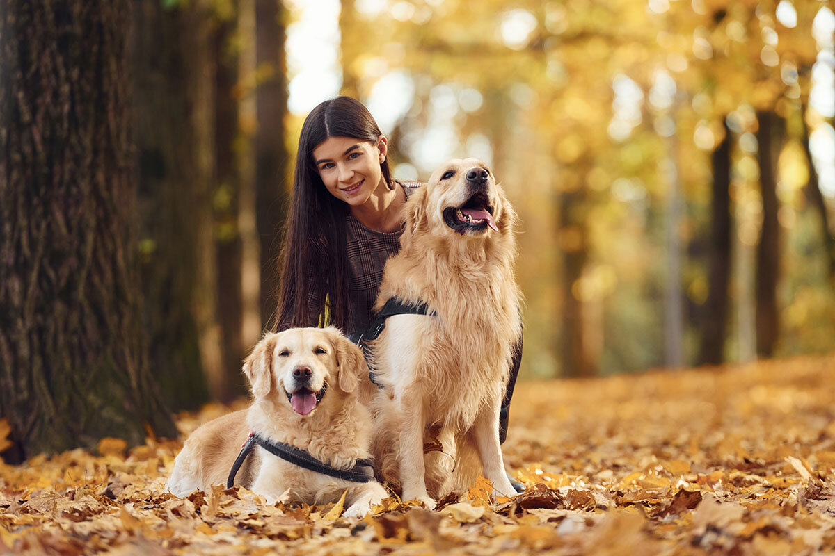    Покупка собаки — дело радостное, но очень ответственное