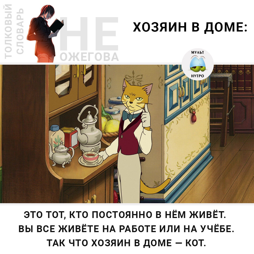 (Аниме «Возвращение кота») 