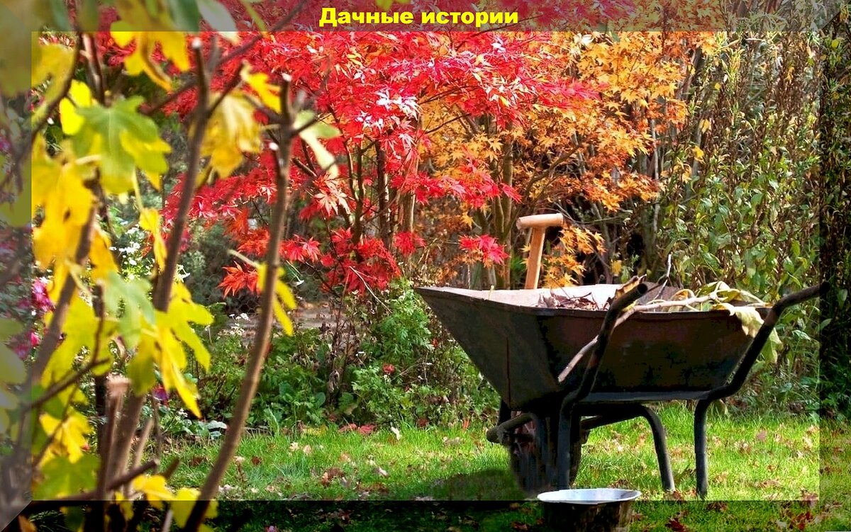 https://vk.com/photo-159774511_457261811