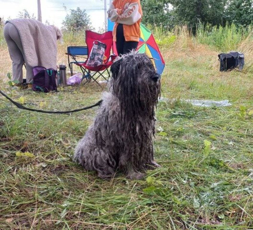 Было